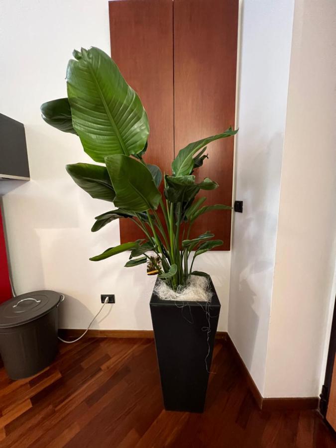Effealatapartments - Appartamento Del Duca Сенигалия Екстериор снимка